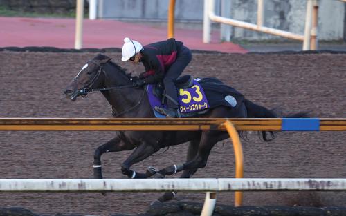 Cウッドコースで追い切るクイーンズウォーク