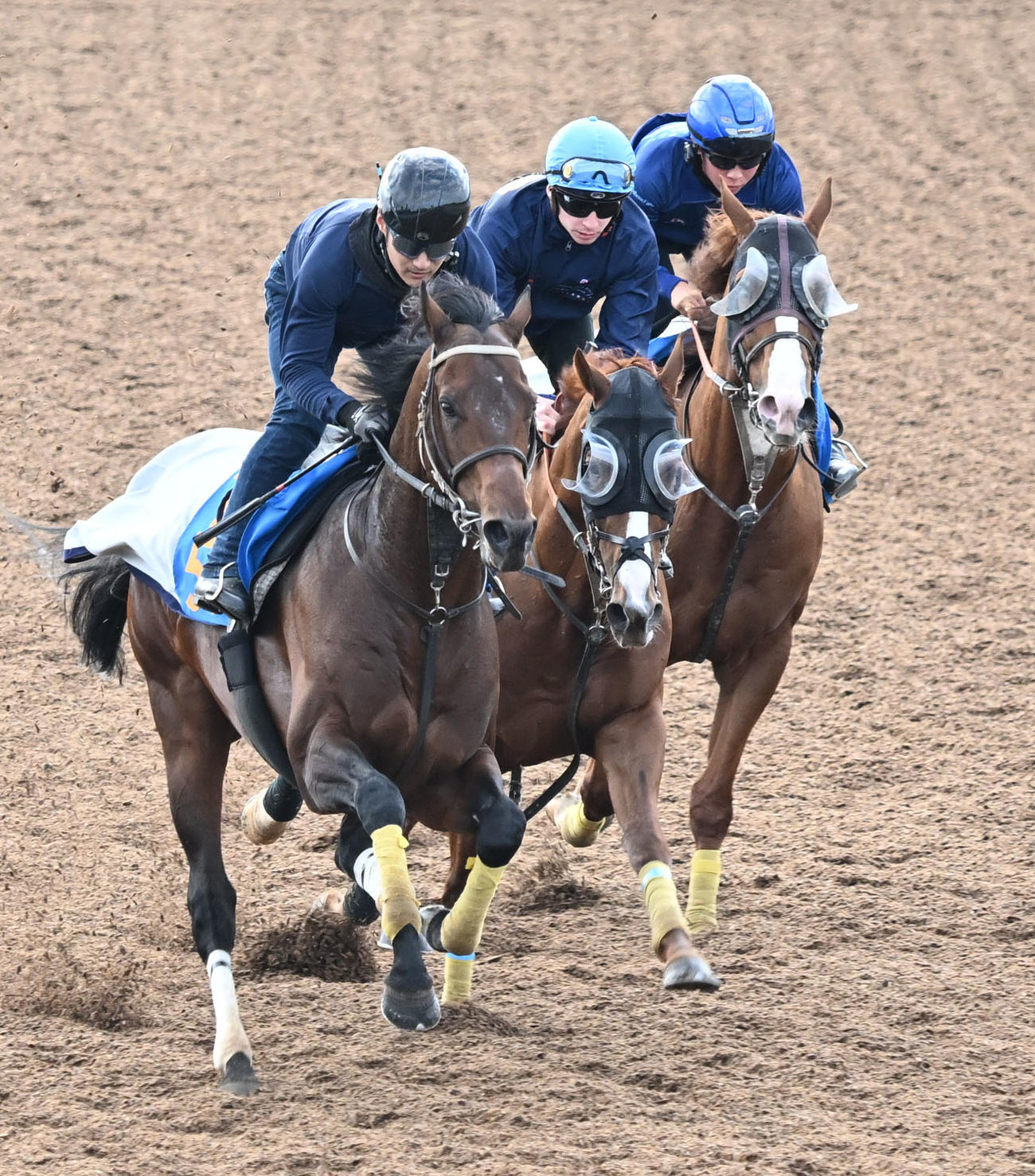 29日、美浦ウッドを3頭併せて追い切るアーバンシックとプーシャン騎手（中央）