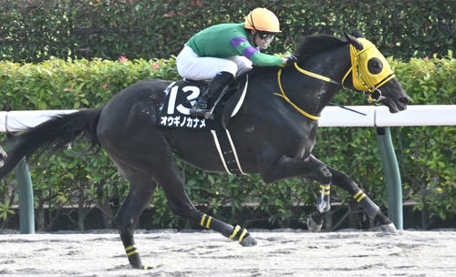 赤富士Sを制したオウギノカナメ