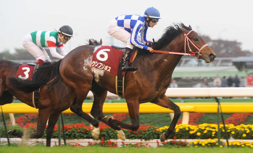10年京王杯2歳Sを制したグランプリボス