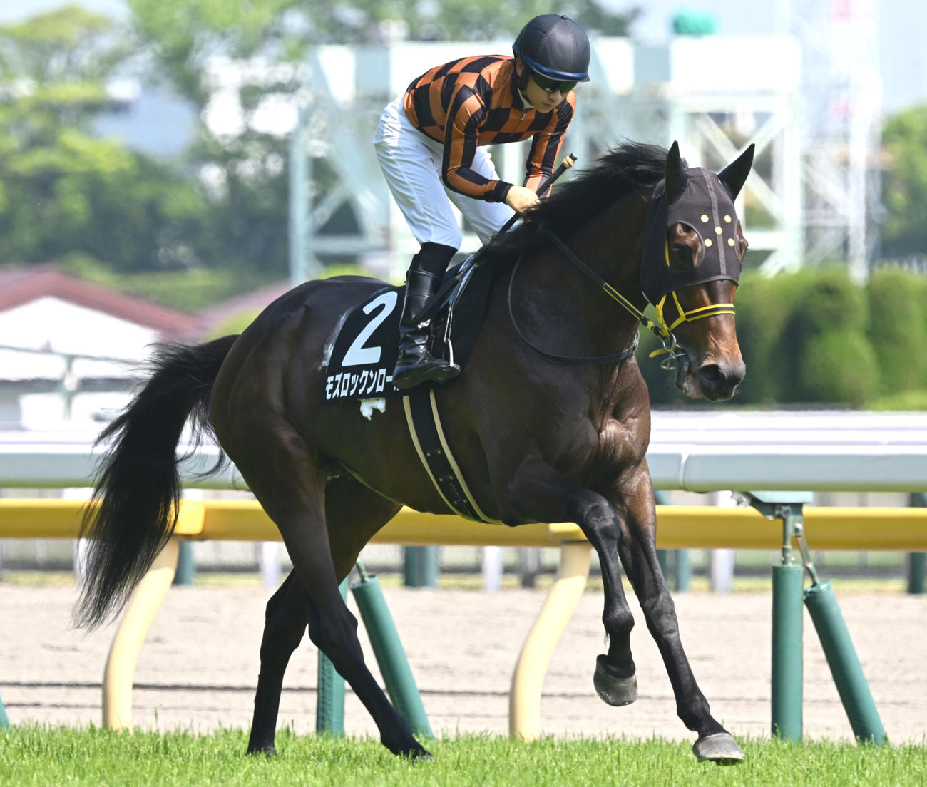 モズロックンロール