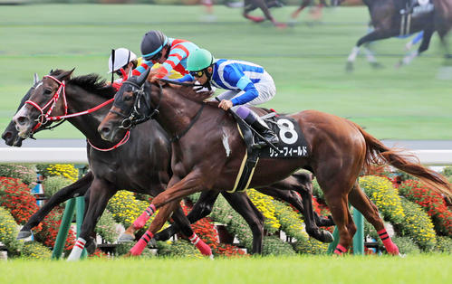 宇治川特別で2着同着に入ったリリーフィールド