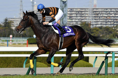 17年大阪杯を制したキタサンブラック