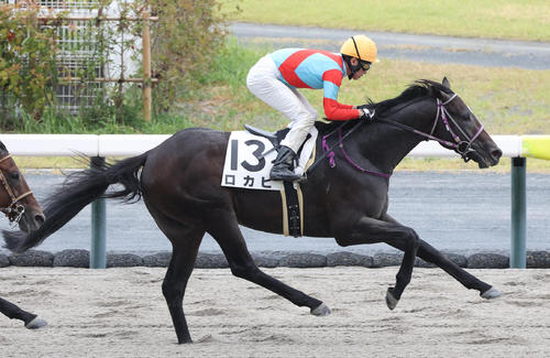 8月10日中京2R3歳未勝利を勝ち上がったロカヒ