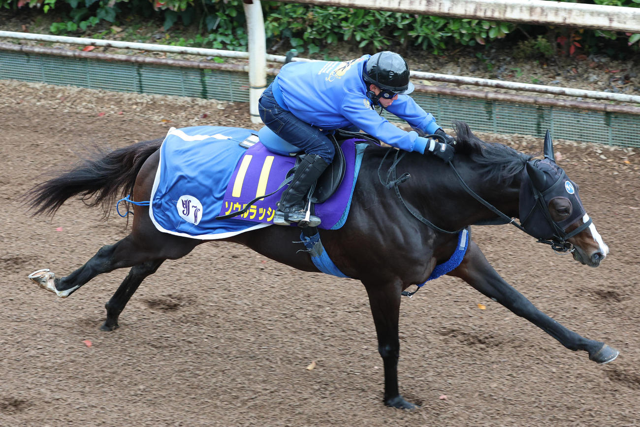 坂路を単走で追い切るソウルラッシュ