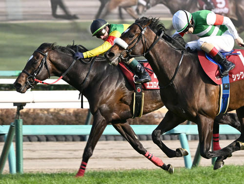 中山記念2着のエコロヴァルツ(左)
