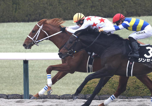 3月2日伊丹Sを制したミッキークレスト