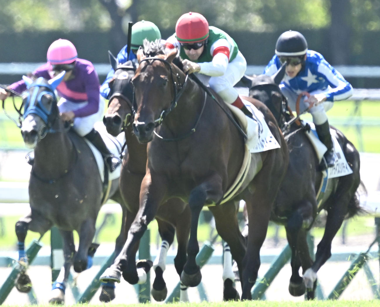 9月21日、中山3R2歳未勝利戦を制したパントルナイーフ