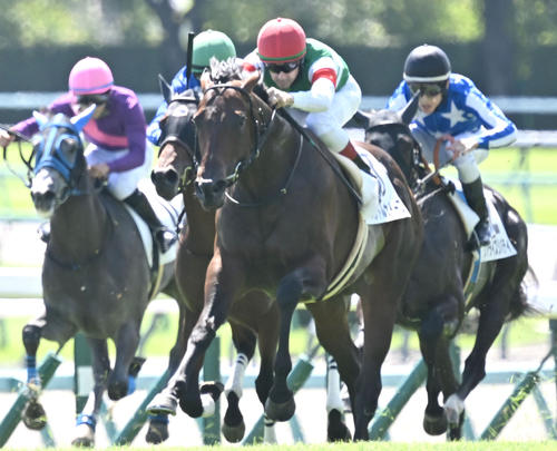9月21日、中山3R2歳未勝利戦を制したパントルナイーフ