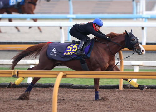 池添騎手を背にCウッドを併せ馬で追い切るサンライズアース(撮影・白石智彦)