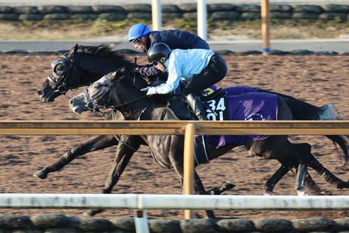 26日、C・デムーロ騎手が騎乗し（レースは北村友）、併せ馬に先着するクロワデュノール（左）