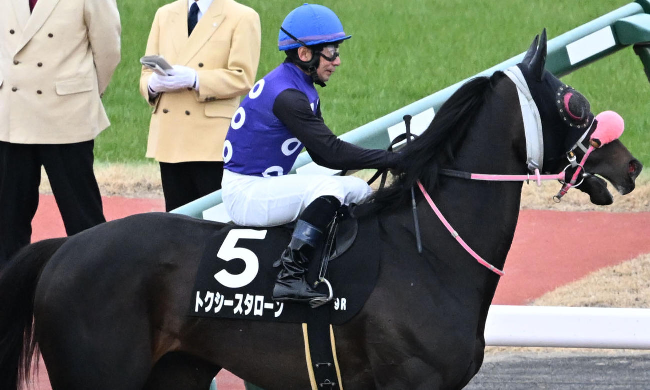 トクシースタローン