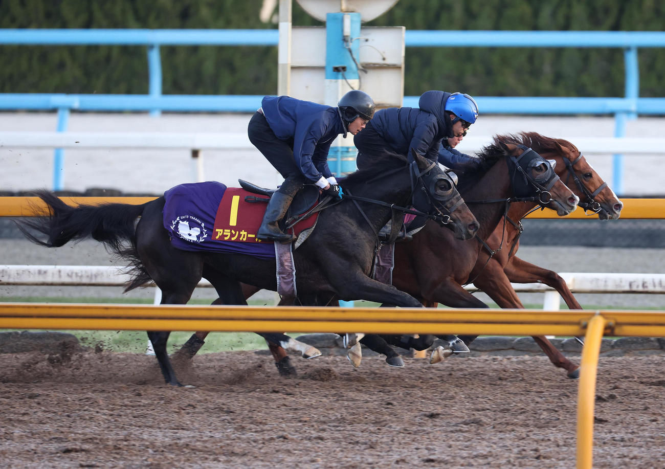 Cウッドを3頭併せで追い切るアランカール（左）（撮影・白石智彦）