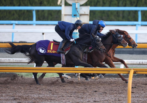 Cウッドを3頭併せで追い切るアランカール(左)(撮影・白石智彦)