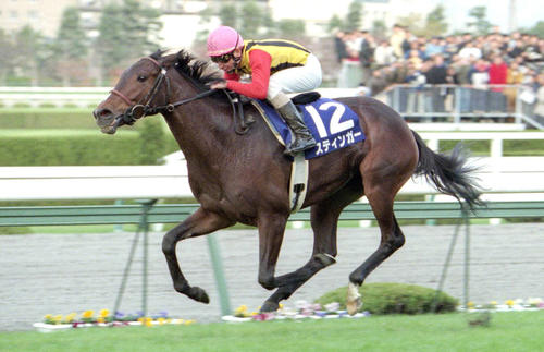 98年阪神3歳牝馬Sを制したスティンガー