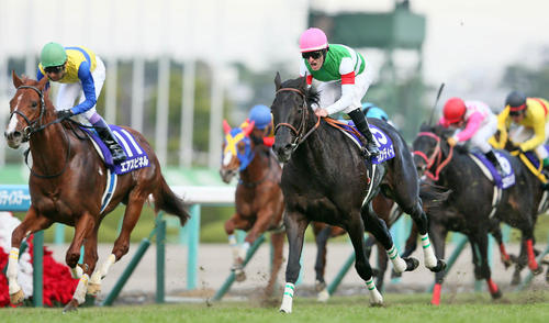 15年朝日杯FSを制したリオンディーズ