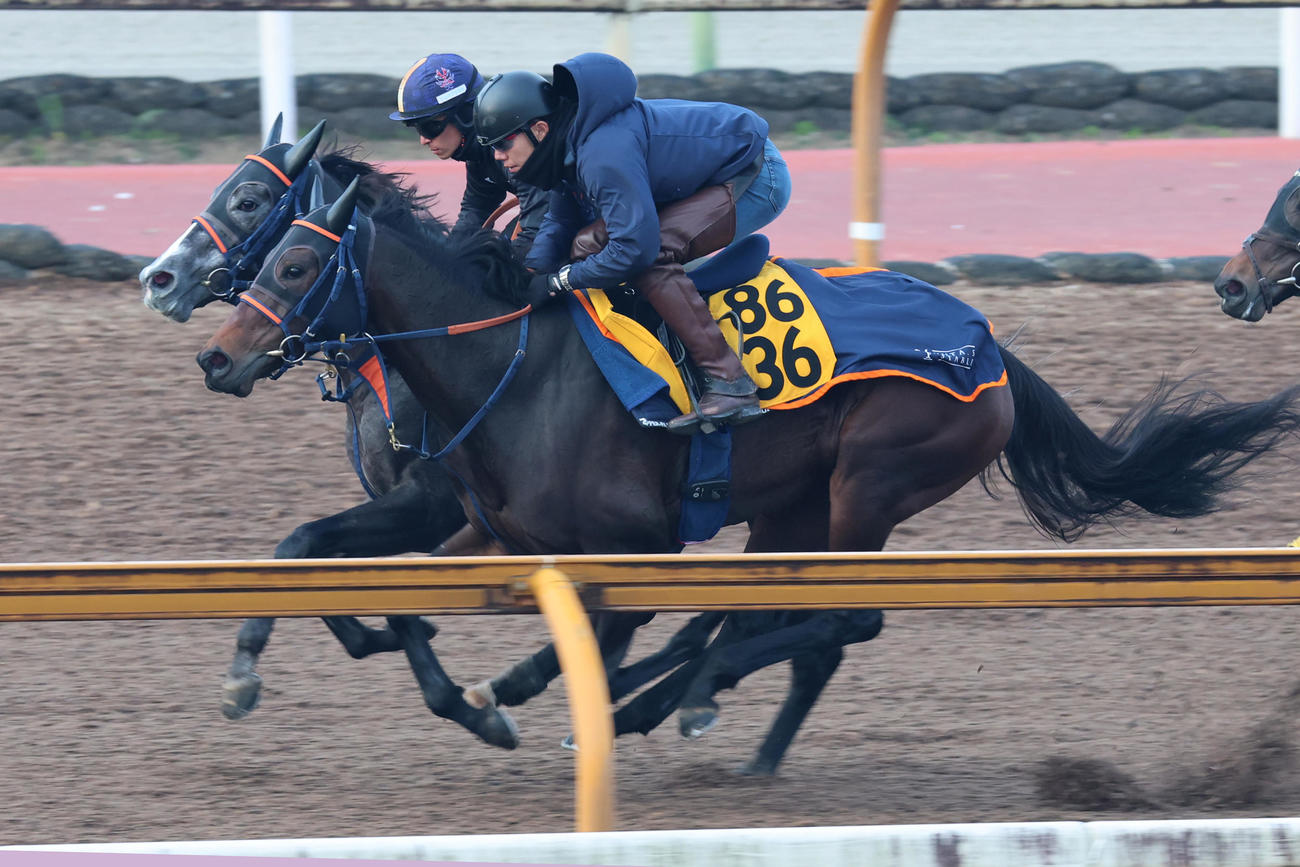 川田将雅騎手が騎乗し、併せ馬に先着するコルテオソレイユ（左）