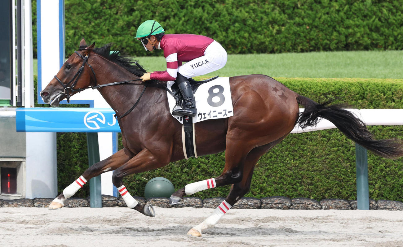9月14日阪神6Rの新馬戦を快勝したウェイニースー