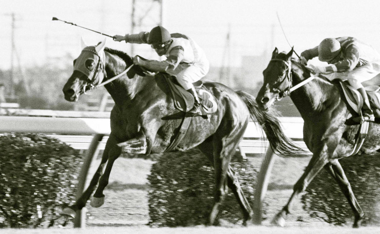 79年有馬記念を制したグリーングラス