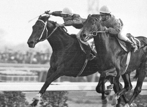 69年有馬記念を制したスピードシンボリ(左)