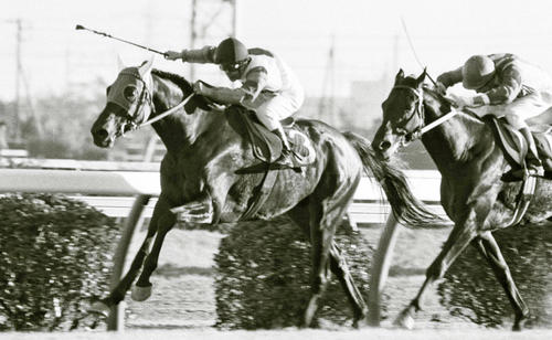 79年有馬記念を制したグリーングラス