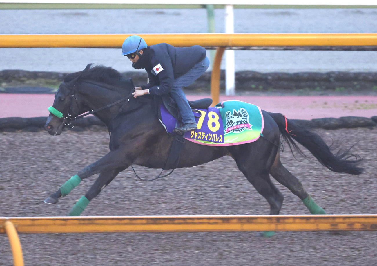 ジャスティンパレス（2025年12月24日撮影）