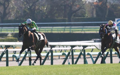 12月7日中山7R3歳上2勝クラスを制したミクニインスパイア