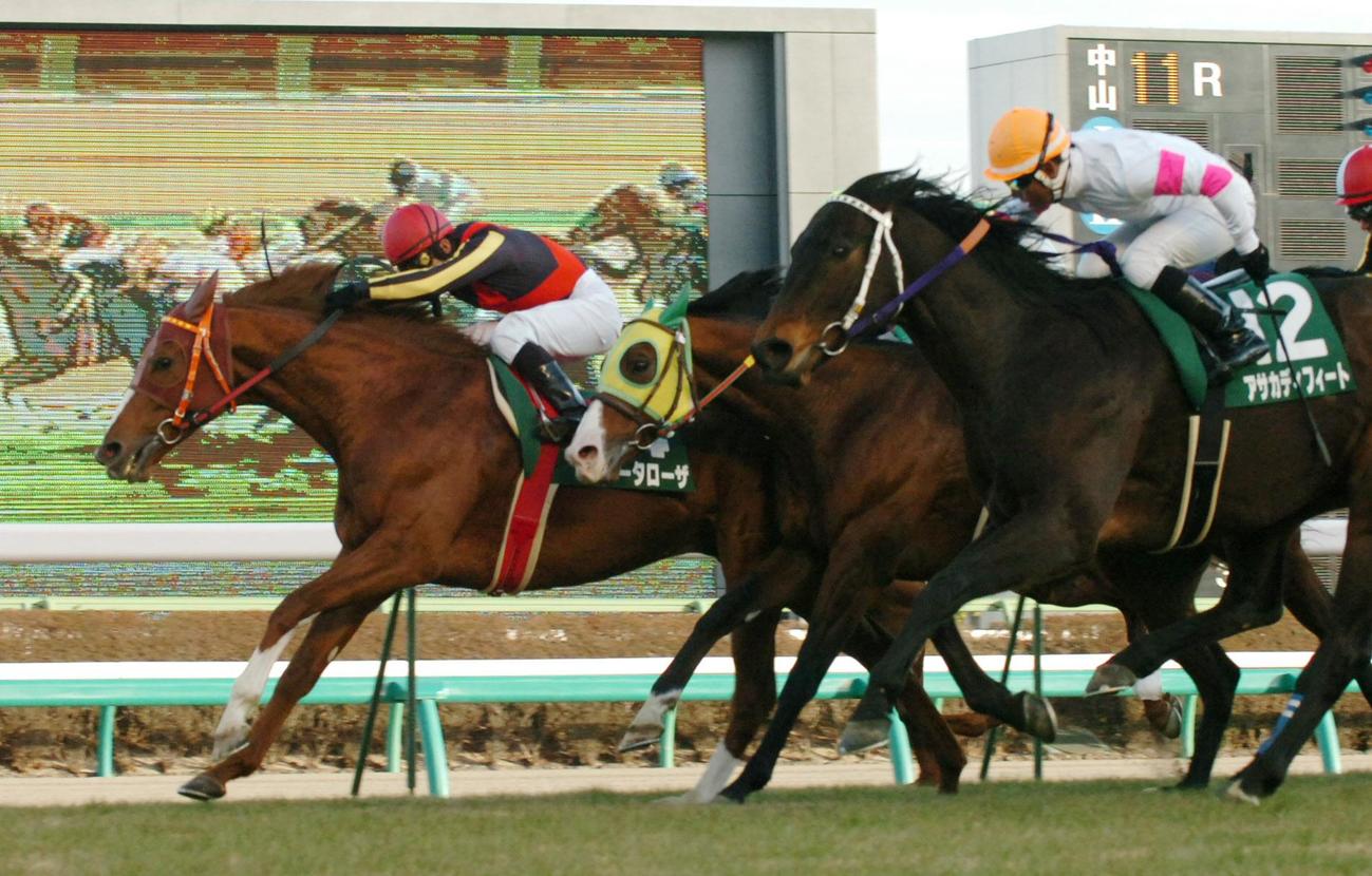06年、第55回中山金杯　ヴィータローザ（左）がアサカディフィート（右）のをハナ差抑え優勝、中央は3着のカナハラドラゴン