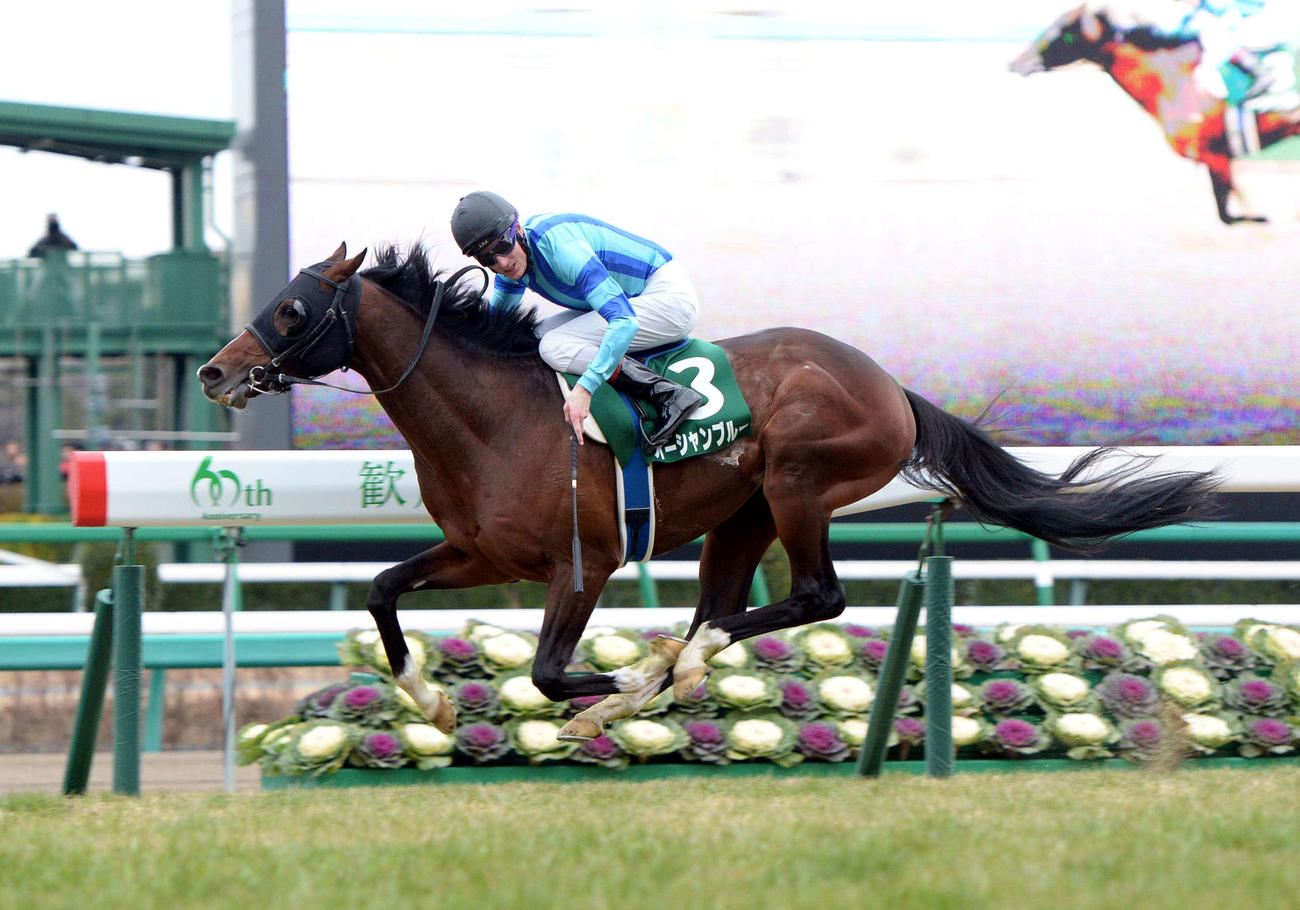 14年、第63回日刊スポーツ賞中山金杯　インから抜け出し中山金杯を制したオーシャンブルーとベリー騎手