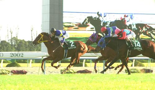 02年、京都金杯2連覇を達成したダイタクリーヴァ