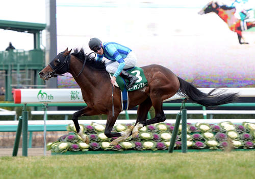 14年、第63回日刊スポーツ賞中山金杯　インから抜け出し中山金杯を制したオーシャンブルーとベリー騎手