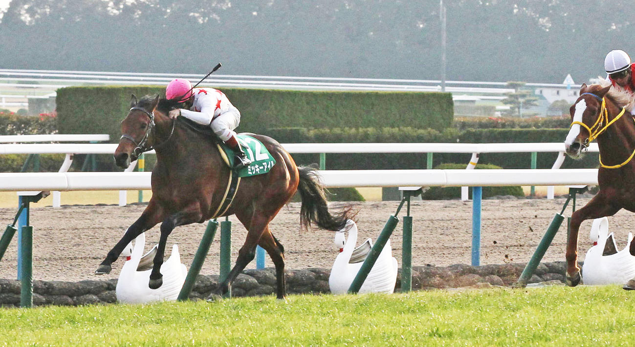 14年日刊スポーツ賞シンザン記念を制したミッキーアイル