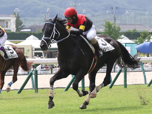 シホノスペランツァ