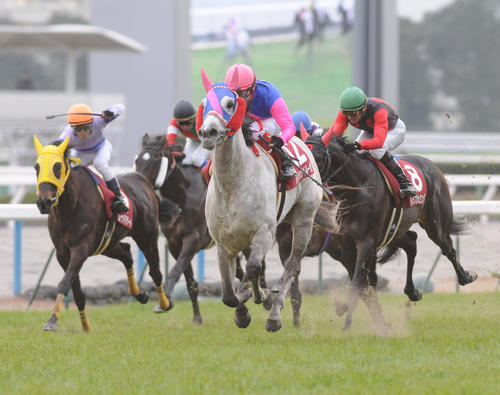10年1月、日経新春杯を快勝したメイショウベルーガ