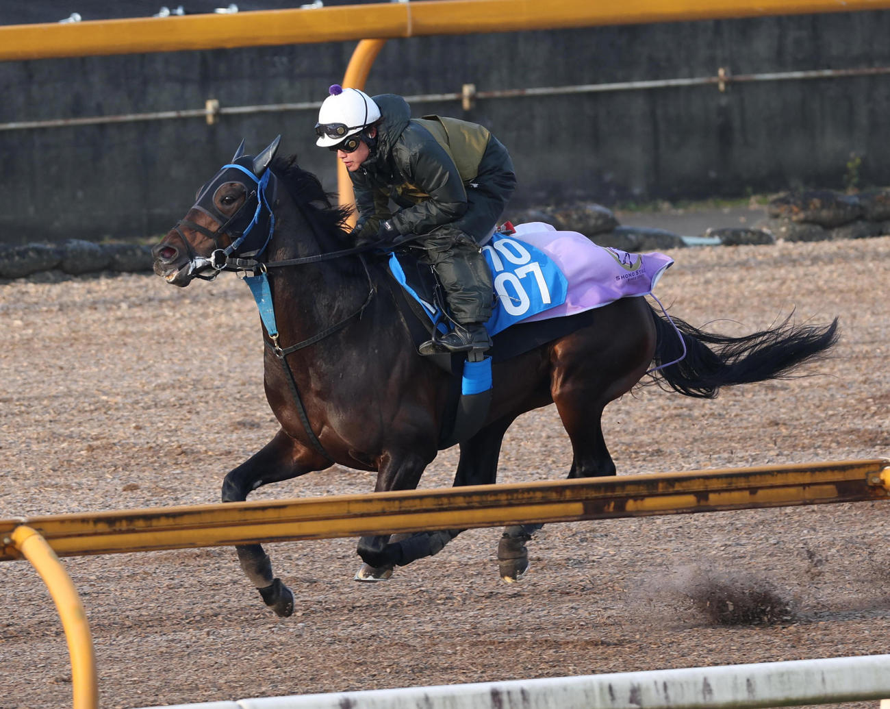 Cウッドを単走で追い切るサブマリーナ