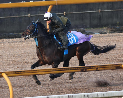 Cウッドを単走で追い切るサブマリーナ
