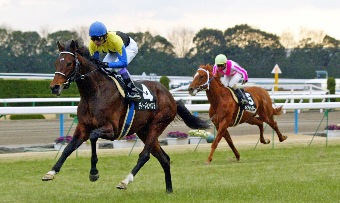 05年若駒Sを5馬身差快勝のディープインパクト