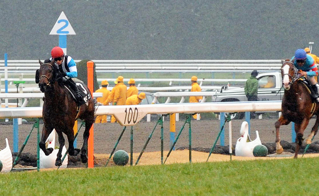 12年若駒を制したゼロス