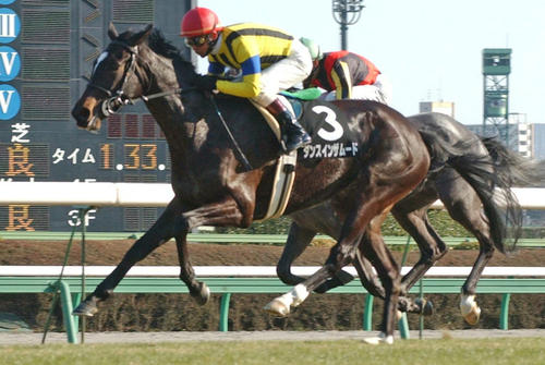 04年若竹賞を制したダンスインザムードと岡部幸雄騎手