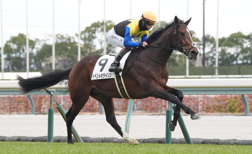 25年12月13日中京5R新馬戦を制したイベントホライゾン