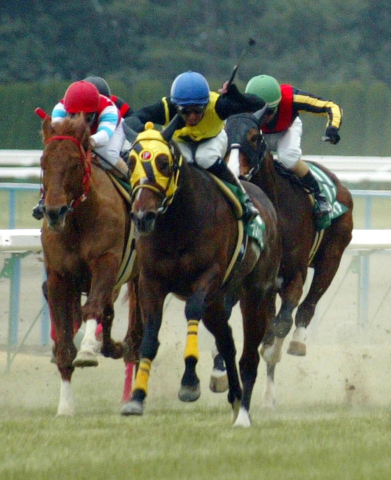 2005年2月6日、直線鋭く伸びシルクロードSを制したプレシャスカフェ（中央）