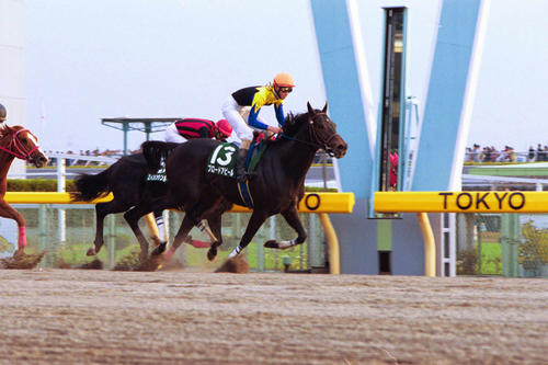 第14回根岸ステークス1着ブロードアピール（2000年11月撮影）