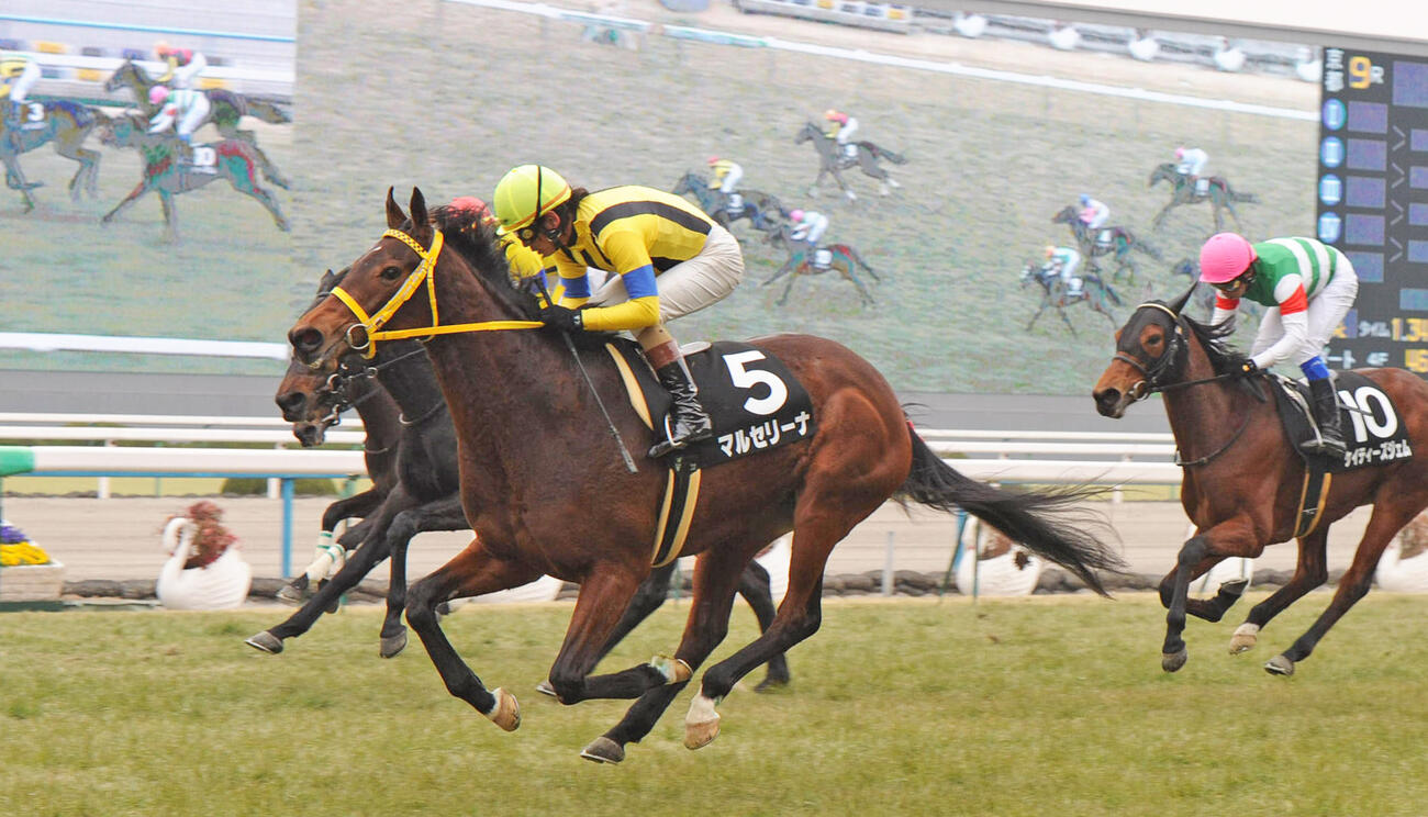 11年エルフィンSを制したマルセリーナ