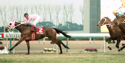 95年京都記念を制したワコーチカコ