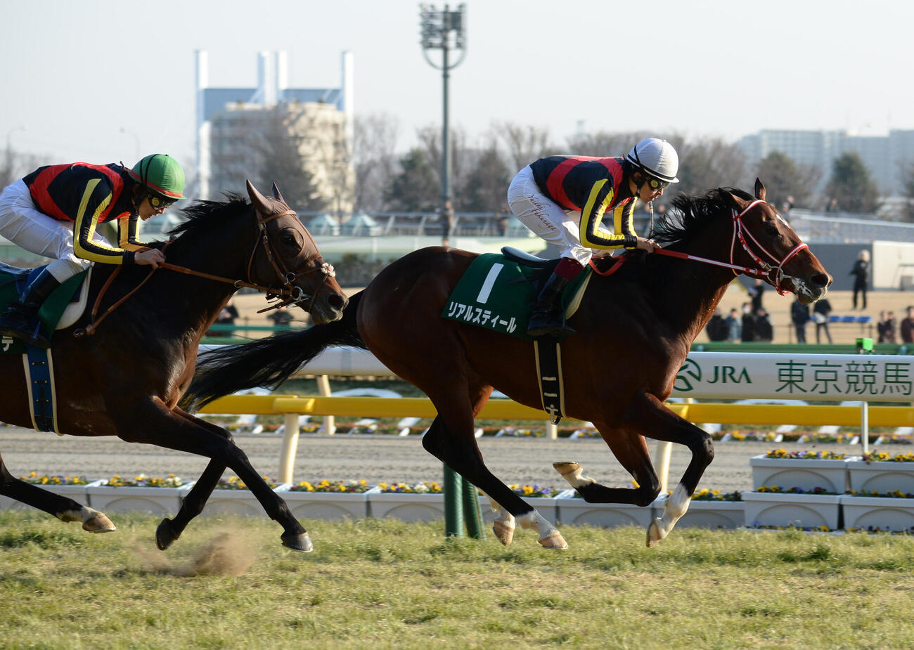 リアルスティール（2015年2月15日撮影）