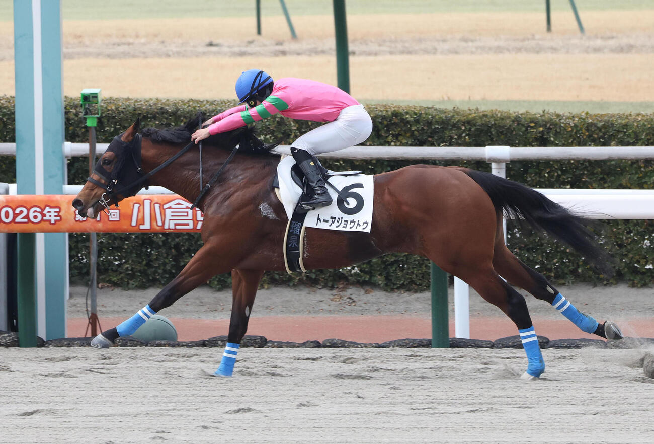 4歳以上1勝クラスを制したトーアジョウトウ（2026年2月1日撮影）