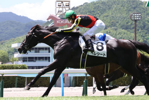 25年7月20日小倉5Rの新馬戦を制したベレシート