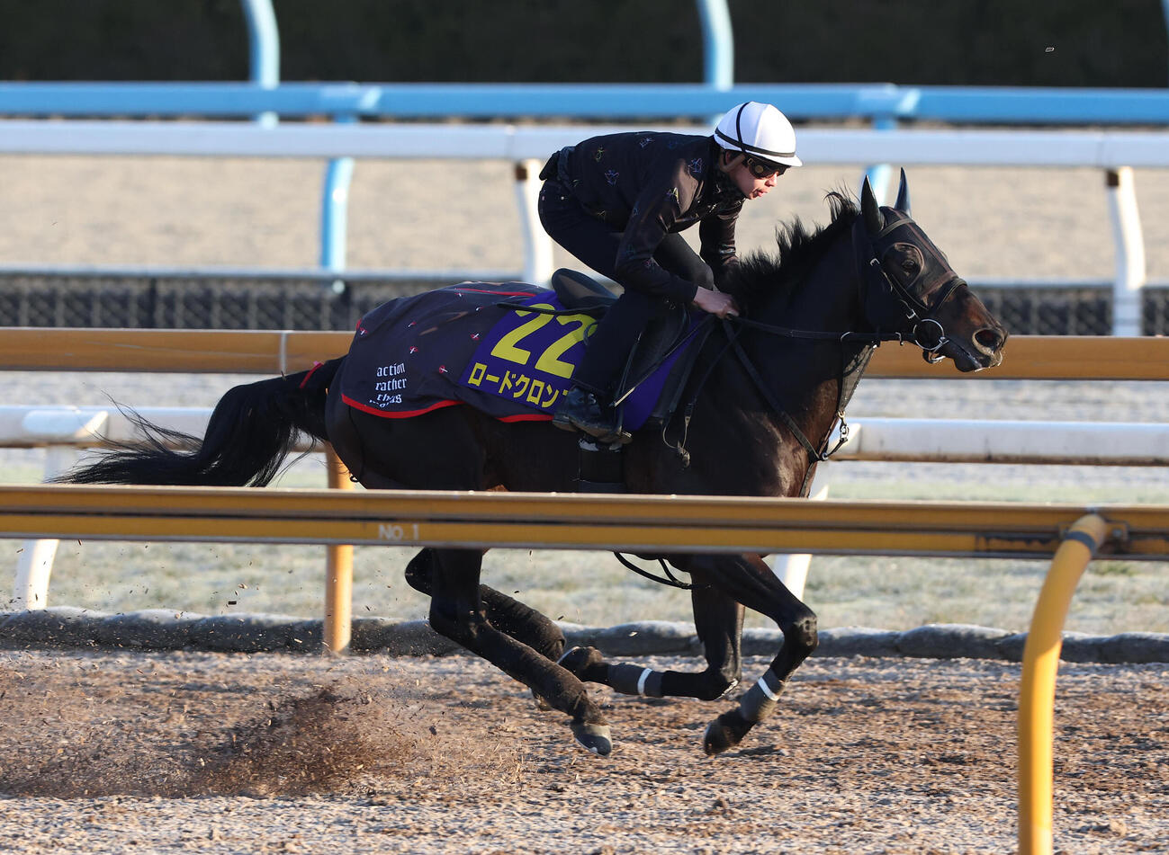 横山和騎手を背にCウッドを単走で追い切るロードクロンヌ（撮影・白石智彦）