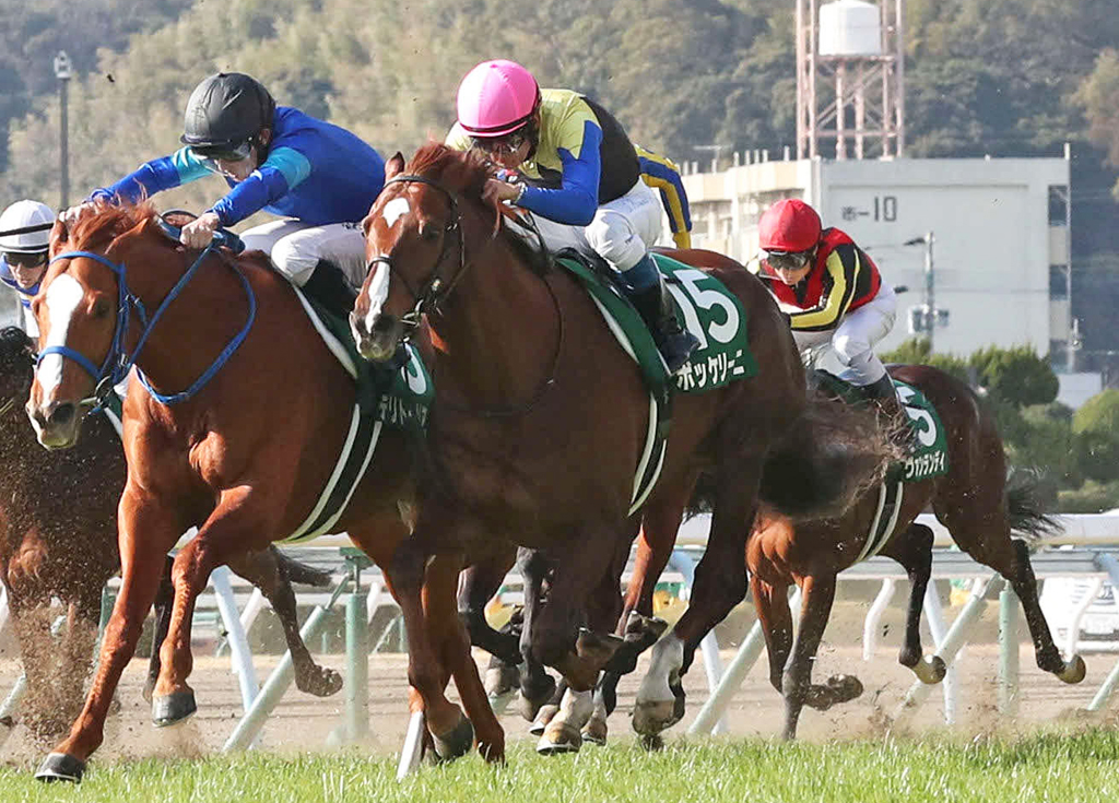 21年小倉大賞典を制したテリトーリアル（左）