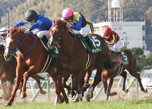 21年小倉大賞典を制したテリトーリアル(左)